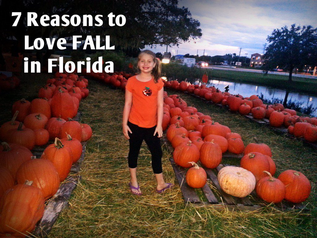 fallinflorida