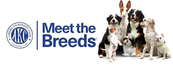 American Kennel Club Meet the Breeds Logo