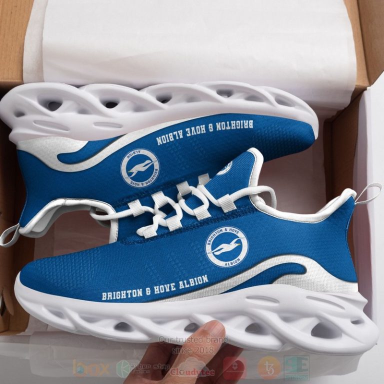 Epl-Brighton-Hove-Albion-Clunky-Max-Soul-Shoes-1