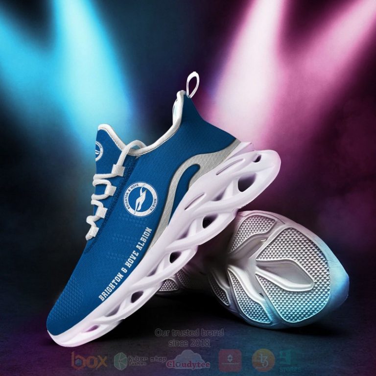 Epl-Brighton-Hove-Albion-Clunky-Max-Soul-Shoes-2