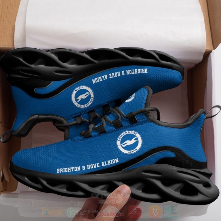 Epl-Brighton-Hove-Albion-Clunky-Max-Soul-Shoes-3